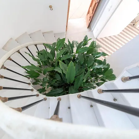 Willa Belvedere By Comorooms