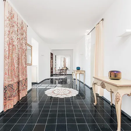 Belvedere By Comorooms