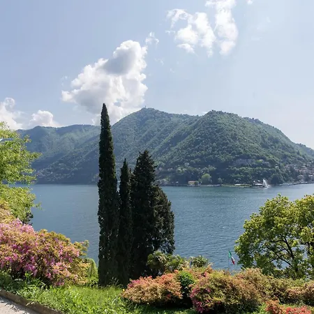 Belvedere By Comorooms