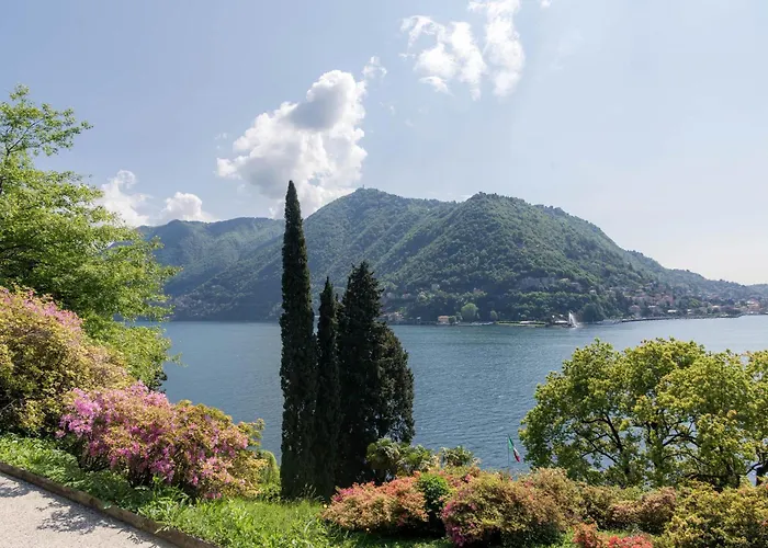 Belvedere By Comorooms